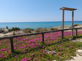 Home Salento 2